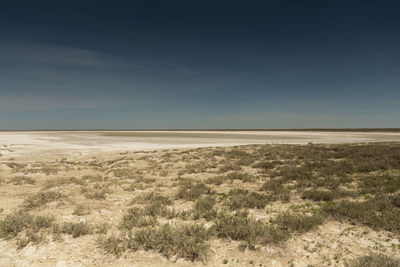 The road through the steppes to the aral sea.kazakhstan,2019