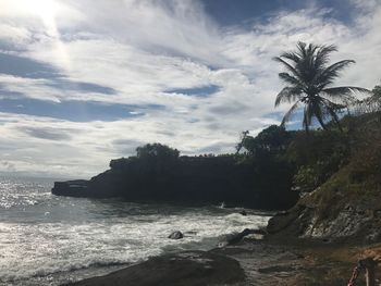 Scenic view of palm trees against sky