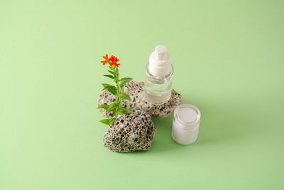 Natural organic cosmetic, healthy beauty concept.