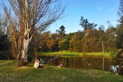 Woman sitting by tree at lakeshore in public park