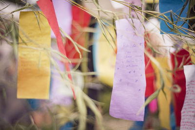 Close-up of hanging outdoors