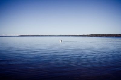 Scenic view of lake against clear blue sky