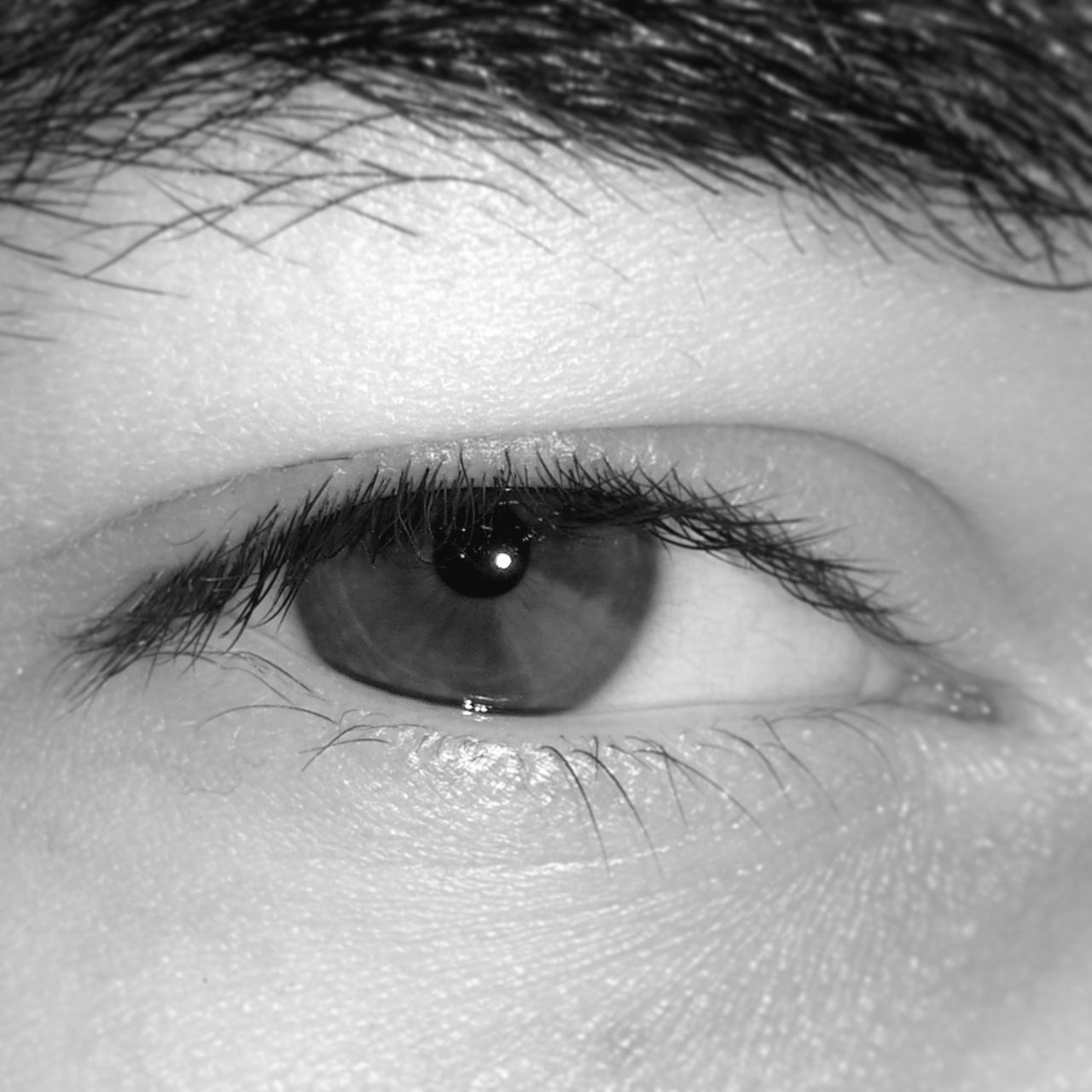 human eye, eyelash, close-up, eyesight, human face, looking at camera, human skin, part of, sensory perception, portrait, extreme close-up, iris - eye, lifestyles, eyeball, eyebrow, person, headshot