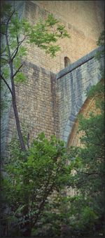 Built structure with trees in background