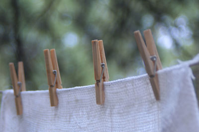 Close-up of laundry drying on clothesline