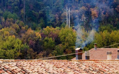 House by trees in forest against sky