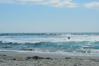 Scenic view of beach against sky