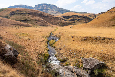 Scenic view of stream flowing through land