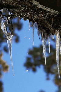 Close-up of wet spider web during winter