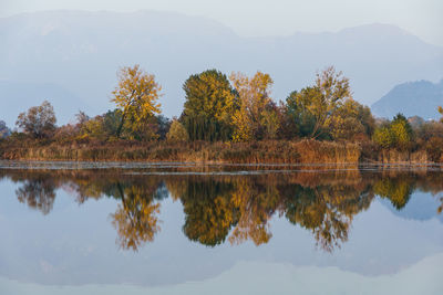 Reflection of trees on lake during autumn