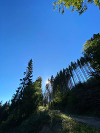 Low angle view of trees against clear blue sky