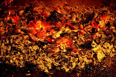 Full frame shot of autumn leaves