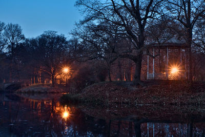 View of bare trees at night