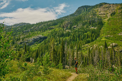 Young man hiking aspen mountain during summer in colorado.