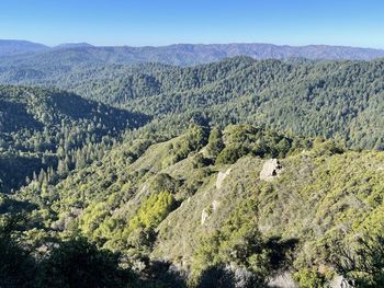 High angle view of trees on land