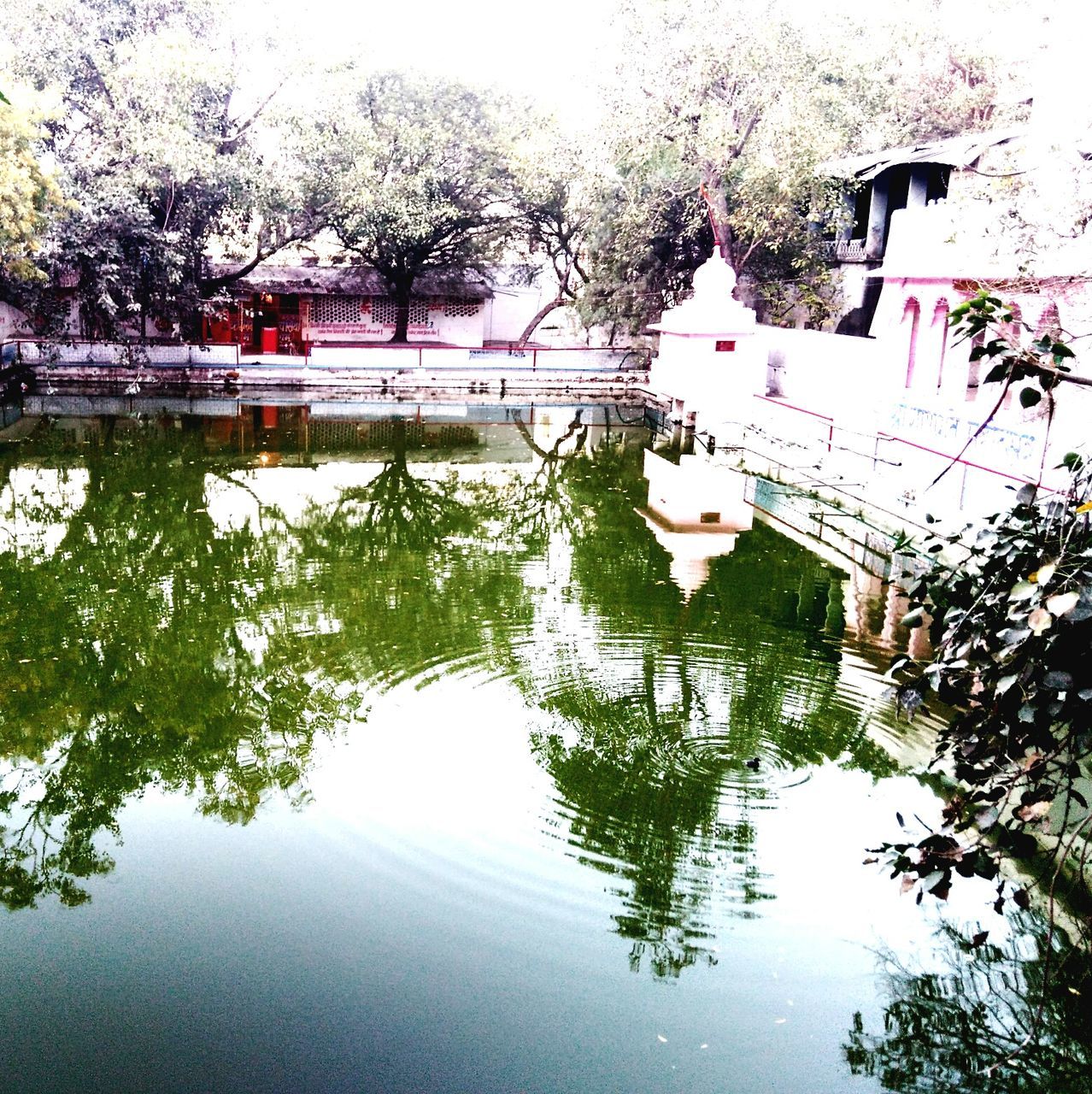 water, reflection, architecture, built structure, tree, building exterior, waterfront, lake, standing water, pond, rain, sky, day, puddle, wet, nature, growth, river, leaf, canal