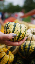 Close-up of pumpkin