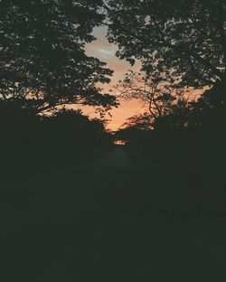 Silhouette trees against sky during sunset