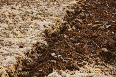 Full frame shot of mud on beach