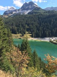 Scenic view of lake and trees against sky