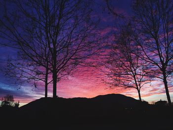 Silhouette trees on landscape against sky at sunset