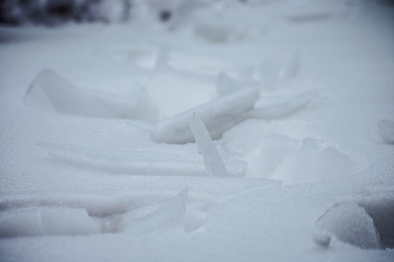 Snow texture