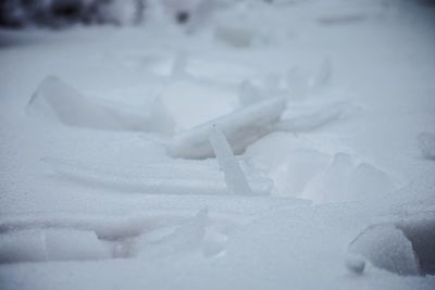 Close-up of snow