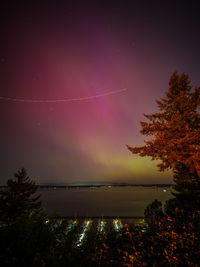 Scenic view of sea against sky at night