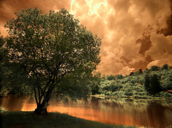 Trees by lake against sky during sunset