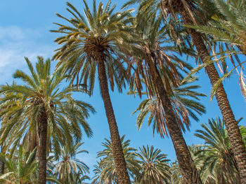 Palermo city on sicilia