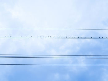 Low angle view of birds perching on cable