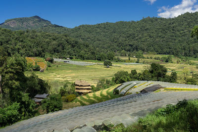 High angle view of agricultural field against sky