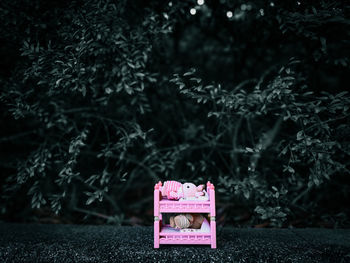 Close-up of pink toy against plants outdoors