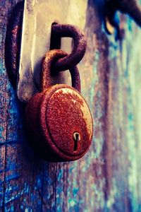 Close-up of chain link fence