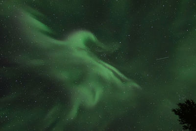 Low angle view of star field at night