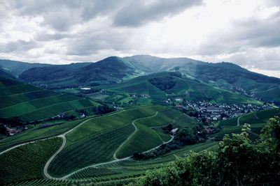 Scenic view of agricultural field against sky