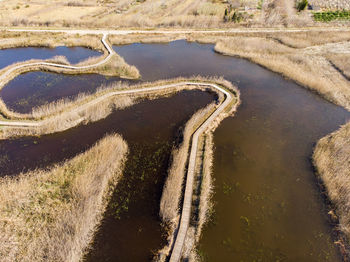 High angle view of trail on land