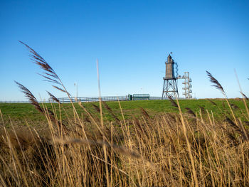 Crops growing on field against clear sky