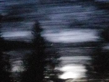 Defocused image of tree