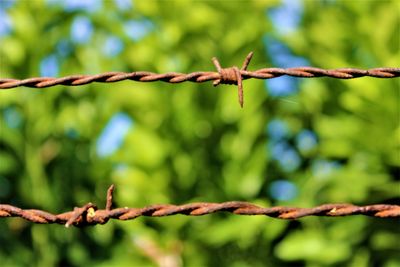 Close-up of barbed wire fence