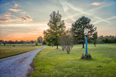 Trees on field against sky during sunset