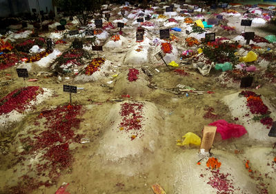 High angle view of multi colored flowering plants in city