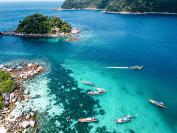 High angle view of sea and trees