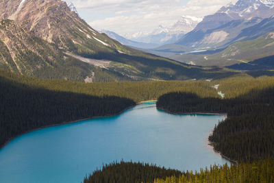 Peyto lake on the icefields parkway in alberta canada