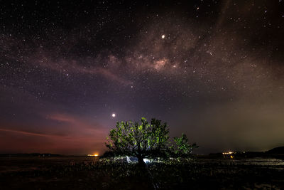 Scenic view of star field against sky at night