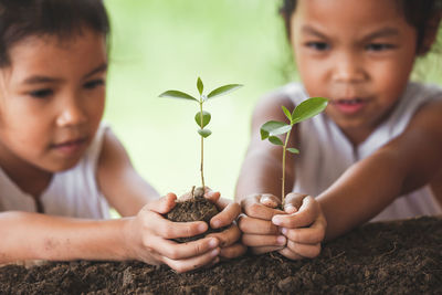 Portrait of siblings holding plant