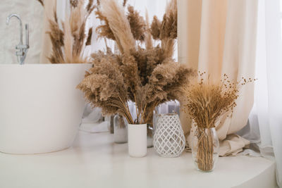 Potted plant on table