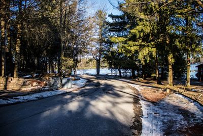 Road amidst trees in city during winter