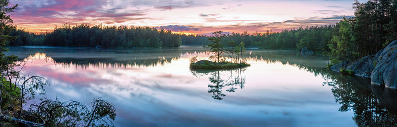 Reflection of trees in calm lake