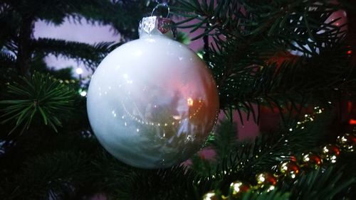 Close-up of christmas decoration hanging on tree